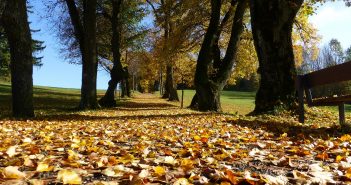 Battle of the Seasons – Autumn
