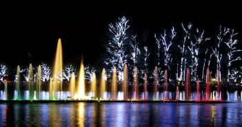 Christmas tree attracts sightseers to São Paulo’s biggest park
